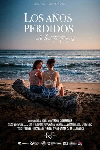 The Lost Years of the Turtles poster