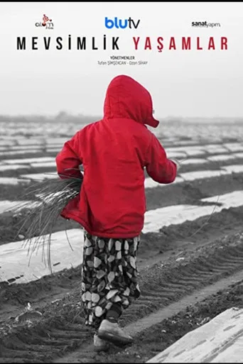 Mevsimlik Yaşamlar poster