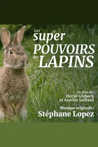 Les super pouvoirs du lapin poster