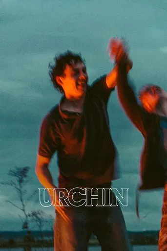 Urchin poster