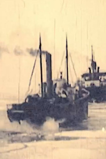 Icebreaker Krišjānis Valdemārs poster