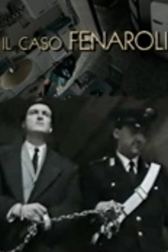 Il caso Fenaroli poster