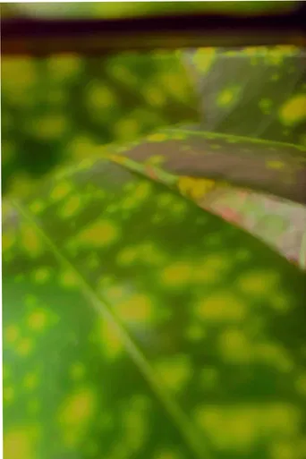 recuerdos de rio verde poster