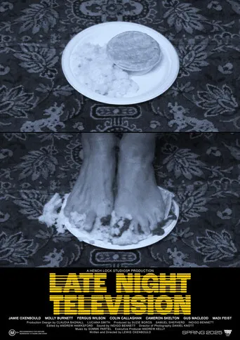 Late Night Television poster