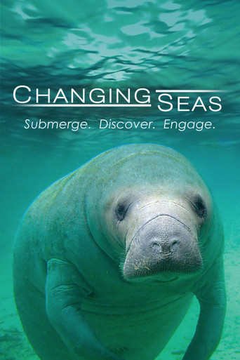 Changing Seas poster