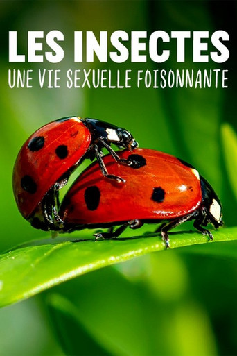Les insectes, une vie sexuelle foisonnante poster