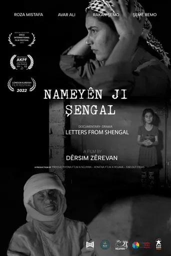 Letters from Shengal poster