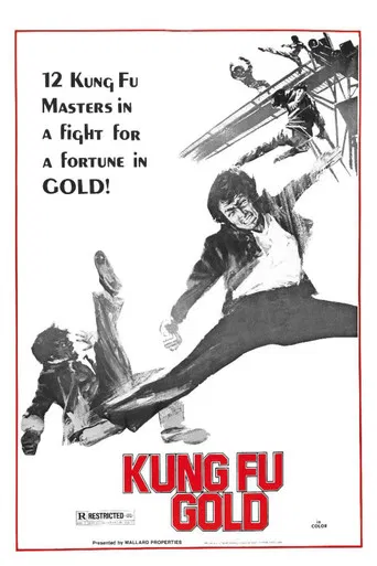 Kung Fu Gold poster