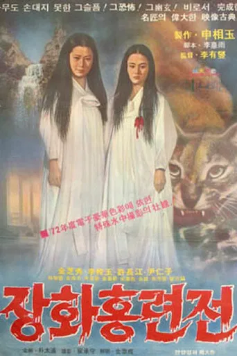 A Story of Two Sisters poster