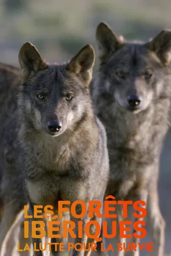 Les forêts ibériques : La lutte pour la survie poster