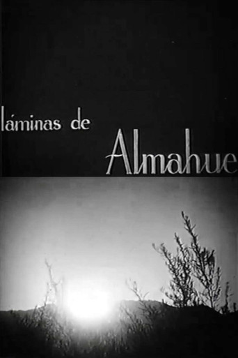 Láminas de Almahue poster