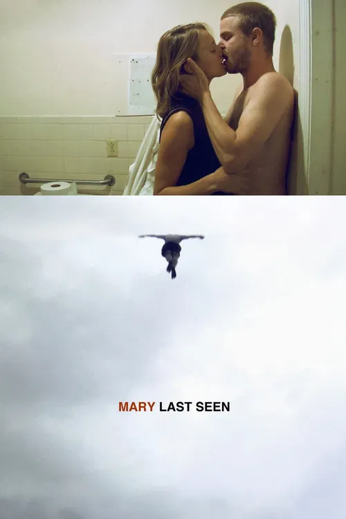 Mary Last Seen poster