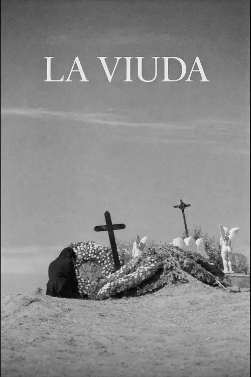 The Widow poster