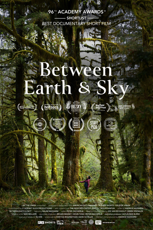 Between Earth & Sky poster