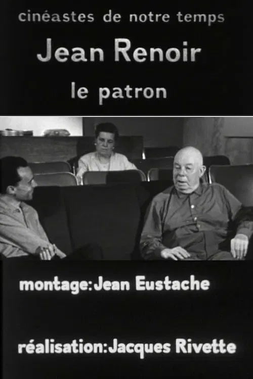 Jean Renoir, le patron, 3e partie: La règle et l'exception poster