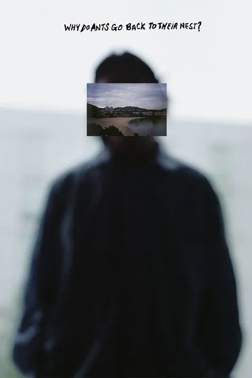 Why Do Ants Go Back To Their Nest? poster