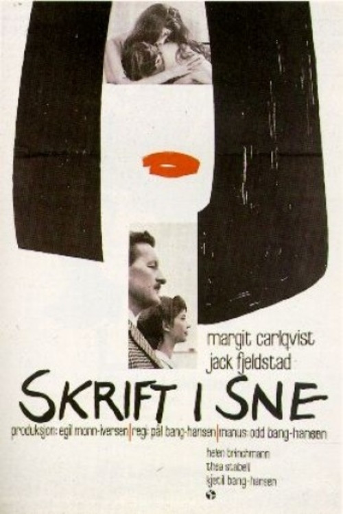 Skrift i sne poster