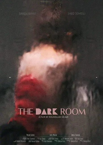 The Dark Room poster