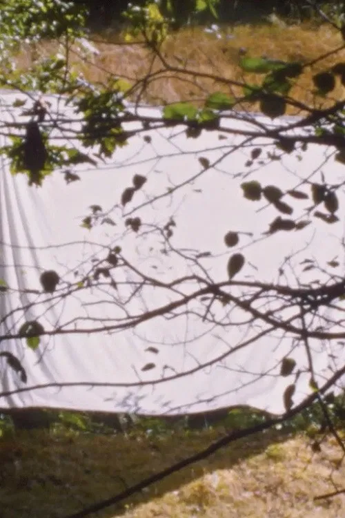 White Screen (for Amy Halpern) poster