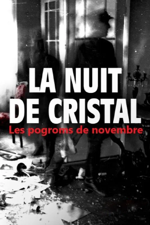 La Nuit de cristal : Les pogroms de novembre poster