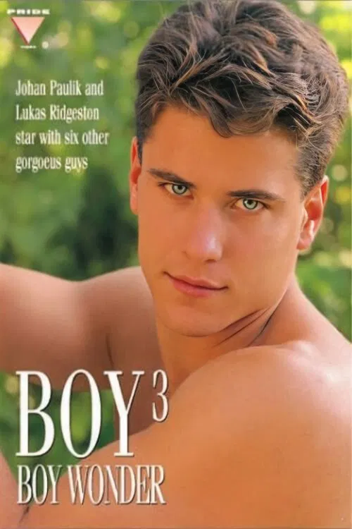 Boy 3: Boy Wonder poster