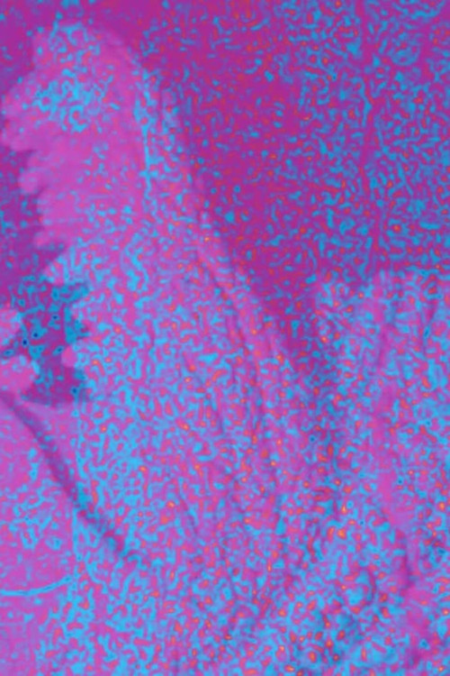 Jeb Rex Memorial Video poster