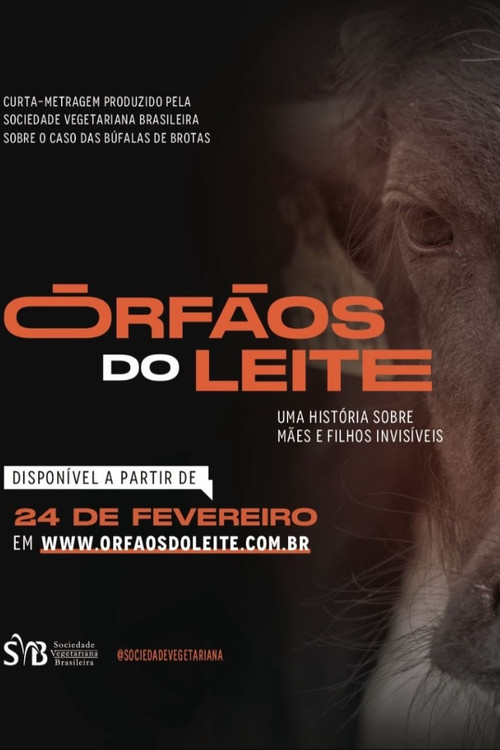 Órfãos do Leite: Uma história sobre mães e filhos invisíveis poster