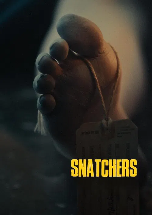 Snatchers poster