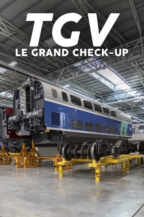 TGV : Le Grand Check-up poster