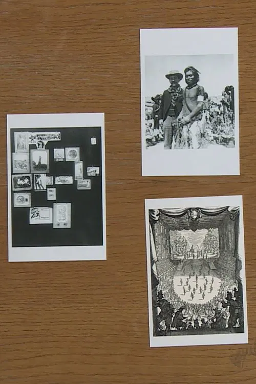 Philippe-Alain Michaud, le réel traversé par la fiction poster