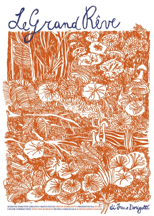 Le grand rêve poster