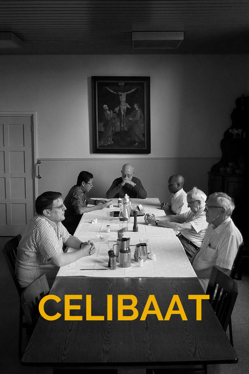 Celibaat poster