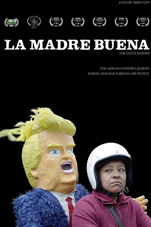 The Good Mother poster
