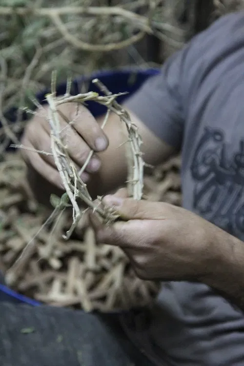 Made In Bethlehem poster