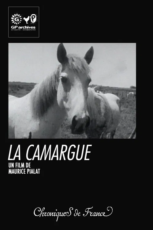 La Camargue poster