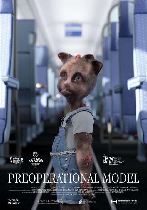 Preoperational Model poster