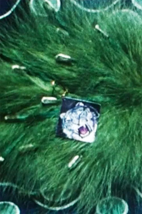 Feather-Arrangement poster