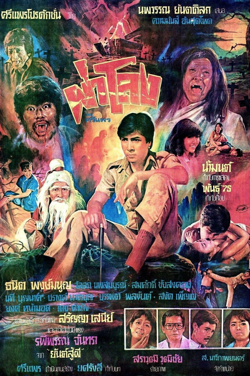 Dissecting the Coffin poster