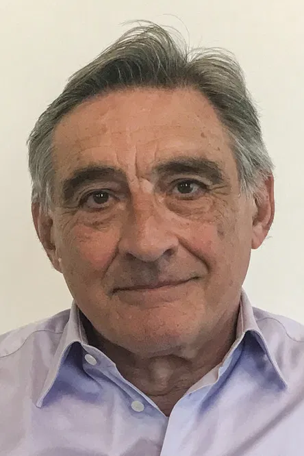 Ahmet İnsel profile