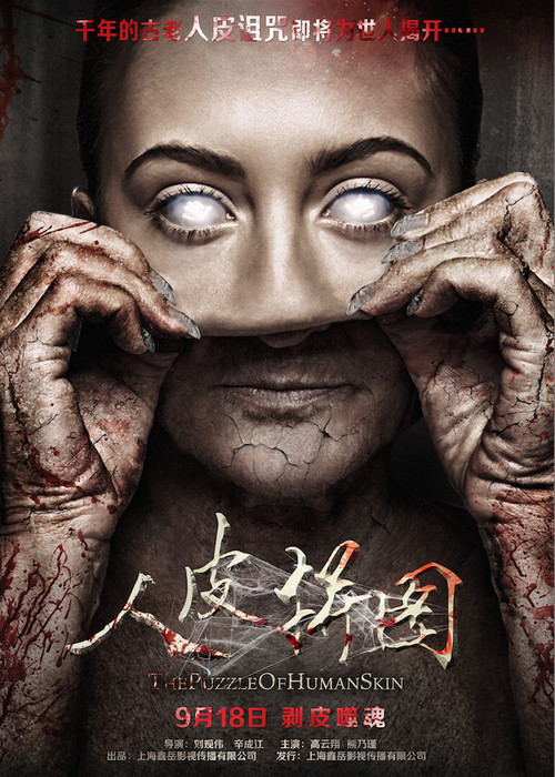 The Puzzle of Human Skin poster