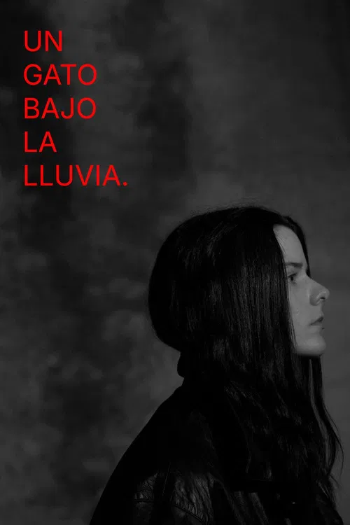 A Cat Under the Rain poster