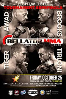 Bellator 105 poster