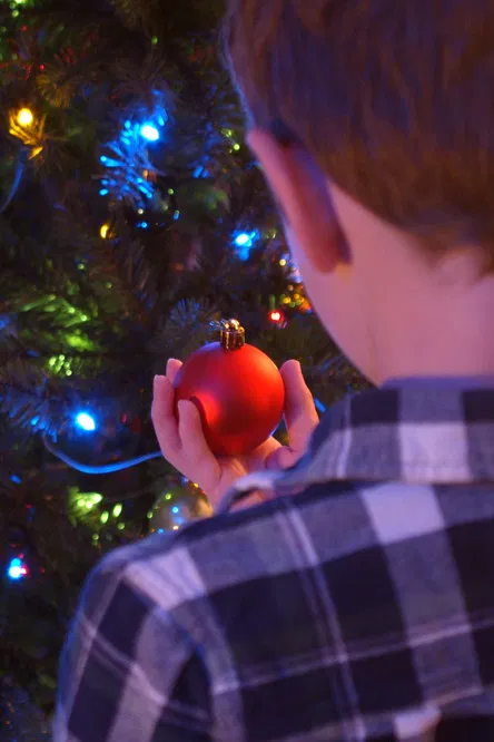 Figgy Pudding poster