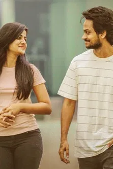 The Software DevLOVEper poster