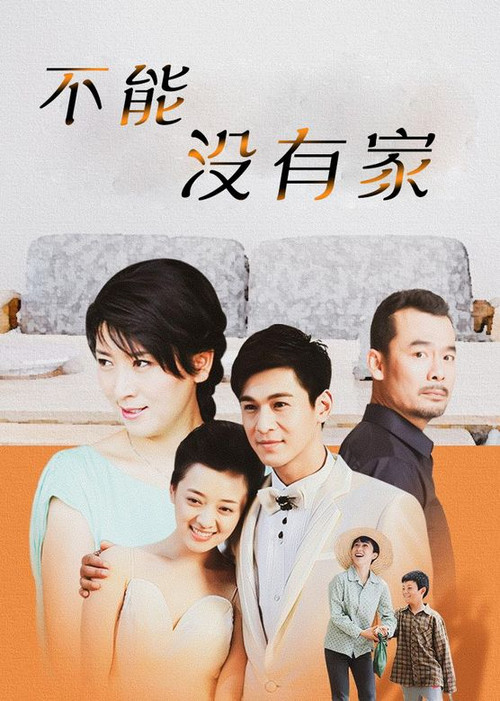 不能没有家 poster