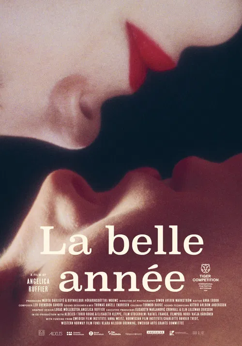 La belle année poster