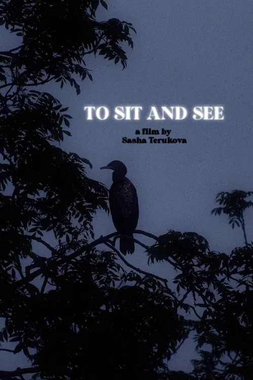To Sit and See poster