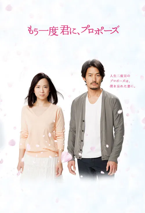 Will You Marry Me…Again? poster