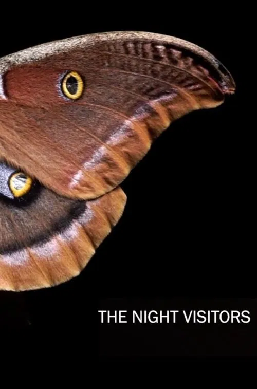 The Night Visitors poster