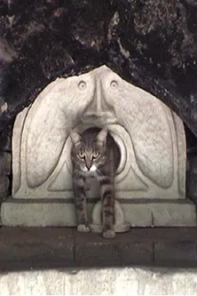 Father, Mother, What Should I Film Today? poster